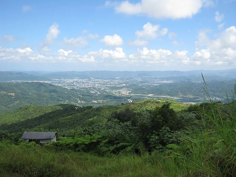 800px-vista del area de caguas desde el cerro las pi%c3%b1as - panoramio