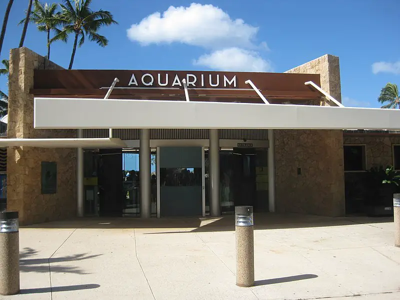 800px-waikiki aquarium entrance