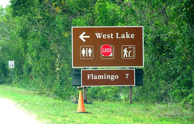 800px-west lake turnoff%2c florida state road 9336%2c everglades national park%2c florida %2851130500828%29