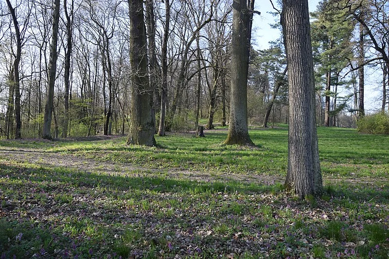 800px-wiesbaden frauenstein schloss sommerberg park