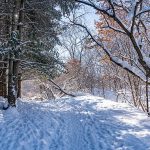 800px Winter Trail at Battle Creek Regional Park2C Saint Paul2C Minnesota 284720674219229