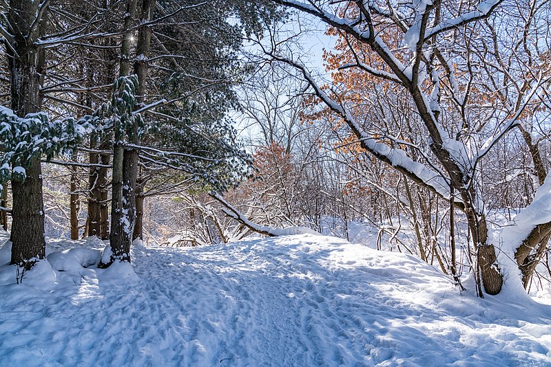 800px-winter trail at battle creek regional park%2c saint paul%2c minnesota %2847206742192%29
