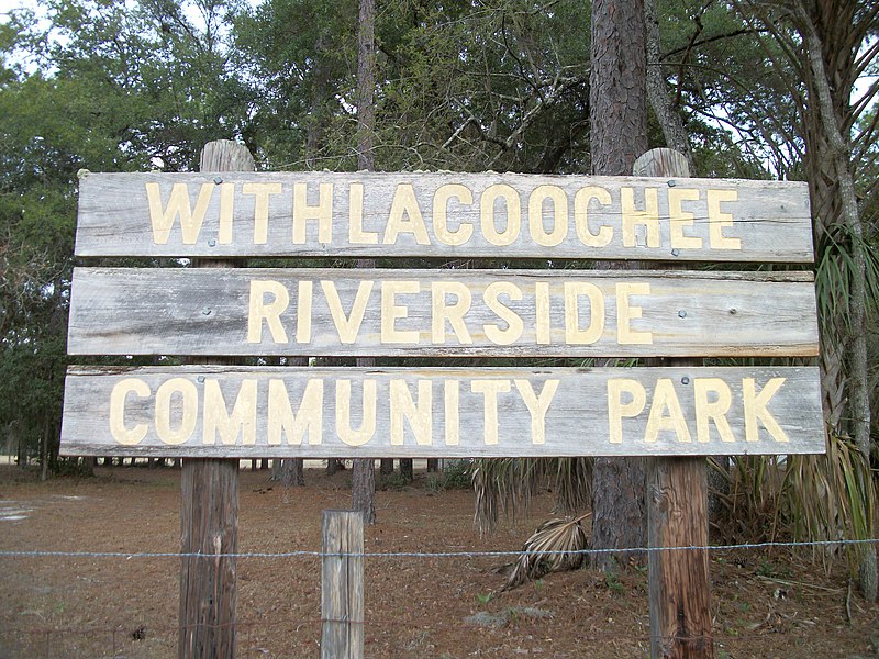 800px-withlacoochee riverside county park%28close-up%29