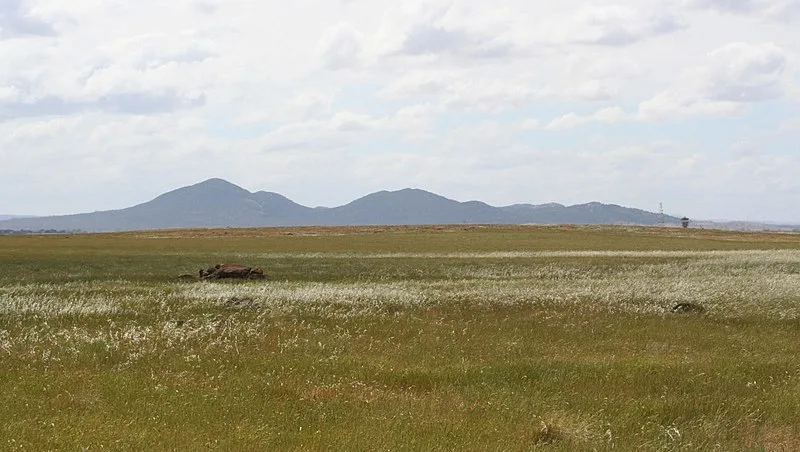 800px-you-yangs-victoria-australia