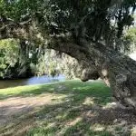 AF1QipO1khlUCTMZrpodLk RCbk7yMgInj3ScN2 6Ab6w296 h202 n k no