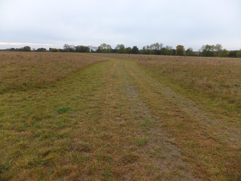 Field in the planned heartwood forest - geograph.org.uk - 2667850