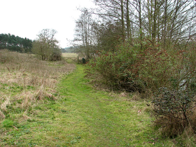 Footpath from thorpe st andrew%27s to postwick marshes - geograph.org.uk - 2319234