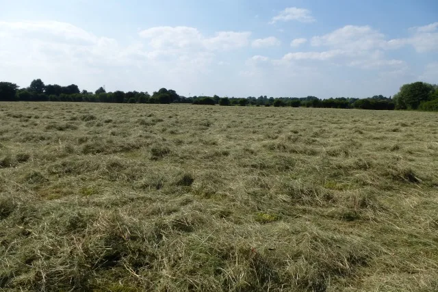 Hay drying - geograph.org.uk - 3544018
