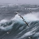 The Roughest Seas On Earth
