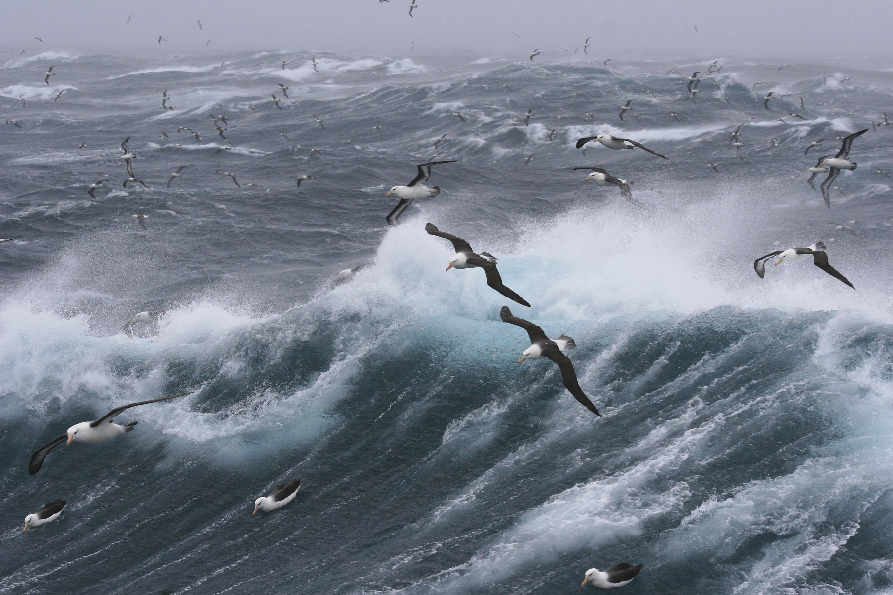 the-roughest-seas-on-earth-touristwire