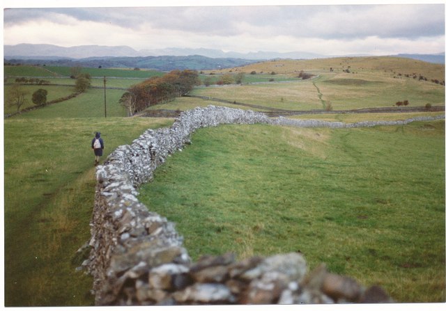 Wall on kendal fell%2c 1990 - geograph.org.uk - 3416657