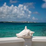 Everything You Need To Know About The Princess Cays