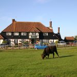 Best New Forest Pubs