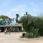 The San Diego Zoo and Safari Park A Guide