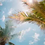 Top Overwater Bungalows in Florida