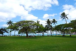 Kapi'olani Beach Park. https://commons.wikimedia.org/w/index.php?search=kapiolani+beach+park&title=Special:MediaSearch&go=Go&type=image