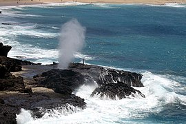 Halona Blowhole. https://commons.wikimedia.org/w/index.php?search=halona+blowhole&title=Special:MediaSearch&go=Go&type=image