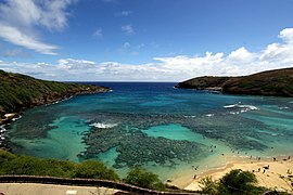Hanauma Bay, Honolulu. https://commons.wikimedia.org/w/index.php?search=hanauma+bay+nature+preserve&title=Special:MediaSearch&go=Go&type=image