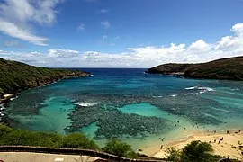 Hanauma Bay, Honolulu. https://commons.wikimedia.org/w/index.php?search=hanauma+bay+nature+preserve&title=Special:MediaSearch&go=Go&type=image
