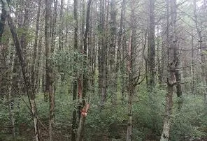 3EILcILUtCntuhCFkdqEA3V2JI4V8QGaxJrWwlzDQJv4 QILsVktl5LRDve0gjX7VoVBMxRS15I ltnFn7V3b1FiuRidvIZRkw6sbbNk2Ik1sW 3EILcILUtCntuhCFkdqEA3V2JI4V8QGaxJrWwlzDQJv4 QILsVktl5LRDve0gjX7VoVBMxRS15I ltnFn7V3b1FiuRidvIZRkw6sbbNk2Ik1sW