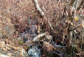 8gR7PlO1QHeZ3z0a6WvOHW2z7gCNWE5g1Mn3UGAbKC9KGhj5aeibHtmC3U2Tsow024CMu1NQZHZk9i5tQZcEaB6Q5U6m ZEydZASJOT9HmlwqXg3pps1OHR DlYeVUT00LSUOaNDS7CU3nY9MawOEiv