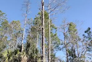 EWKuVb8kWQk6 7ZA60Bi1gVgFViCdiWV6QMmP1MsMgb7I70CAOhFggp8Cde7ZBvxQ6fvyY0gR4VbdgIb24vis9aI1qxfjhdO tlXqqkoW yW