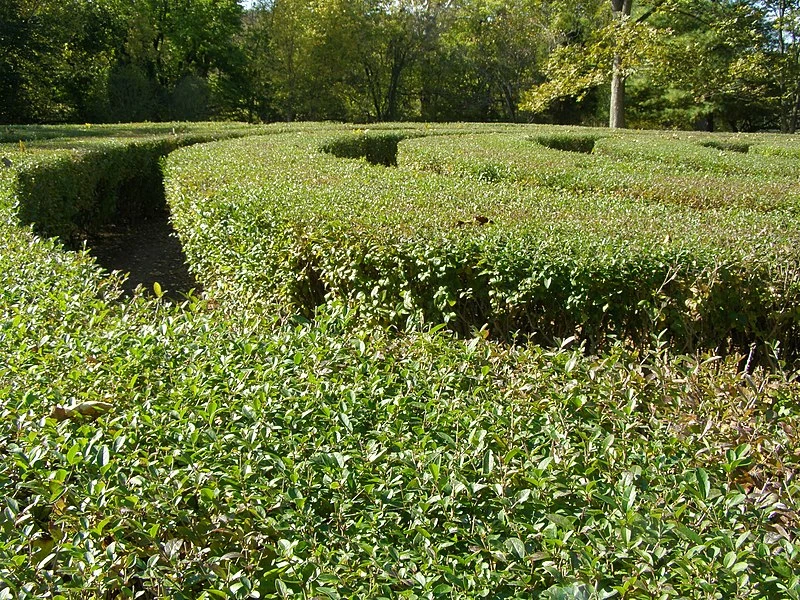 MFyrar5S0im8vbwBLhTyqcrFi6p77RYC6g8 tmfmRnTIWENfmQjNZz4FzI6fc5btfEKWbPhxPO9Kb2ShdF7JjltR8TUIA8ajE3GxMXy5MSgkLGWEgM erBQzobTqHtLUNjASs1hnnNL9TtP 61grgR66DpeB8pZ13bR1O0rQN0427lAGckAwj kIqg