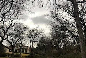 QepI ARoX21yUfN5LskF4xjCyRI2w 8QTRR2JqFfLKa4 Z DmTqhvROcIySxZlT 7dHk eqgs1WP7zuL1zGS qR0CQvCS30UfGHcmHRPITGJpptHCT5869Uj541p8DdIFp7RPzmZGblhWiF8lM9Onnk9vMdSlIfZSq2 9912Hwjw5fKH7zgjE5g61Q