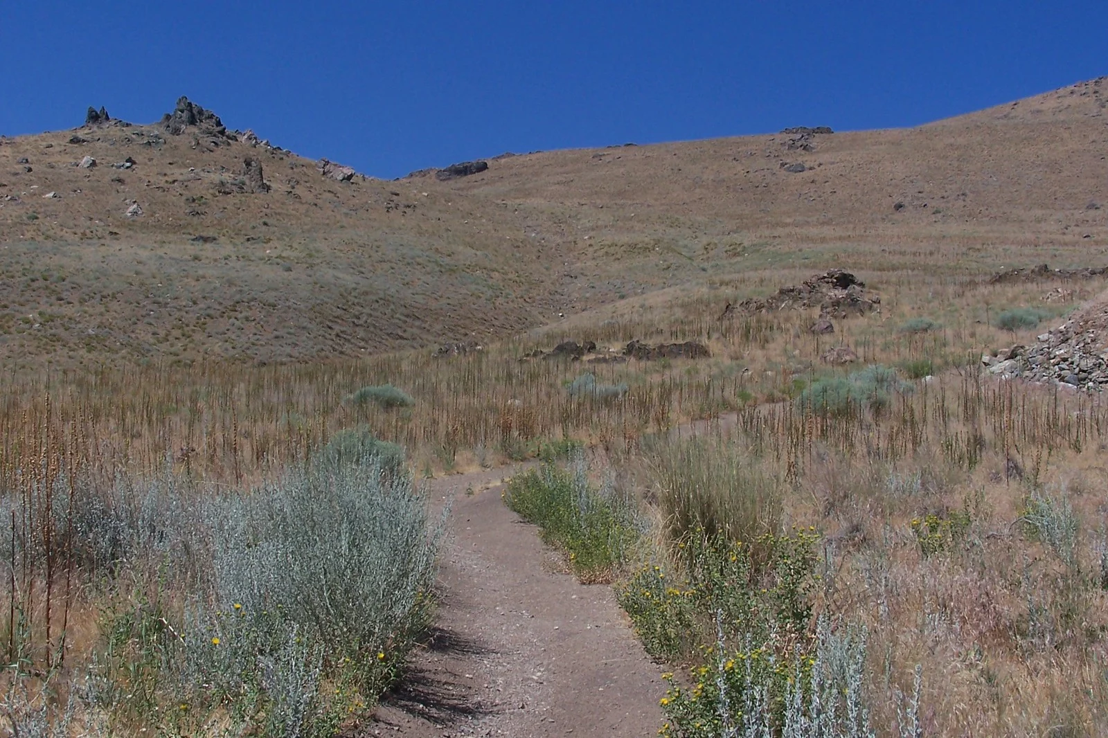 SOgi0N D fCfOSM 88cDmGytwuhH99J iRBVhAUm8wFNfkNPky6mC0WtBbsKI3Gbl2w45NlzHCNfGtNRu1qzJorjdA zoHoX3vtFBJd n8zNC5Dgh9tZZmXN9T2QCo814zKrhJ6US0l2QBeQfuF6fp10D7XCN7Q6KH8EJq0XBZNIT91GW7OIM2Cig SOgi0N D fCfOSM 88cDmGytwuhH99J iRBVhAUm8wFNfkNPky6mC0WtBbsKI3Gbl2w45NlzHCNfGtNRu1qzJorjdA zoHoX3vtFBJd n8zNC5Dgh9tZZmXN9T2QCo814zKrhJ6US0l2QBeQfuF6fp10D7XCN7Q6KH8EJq0XBZNIT91GW7OIM2Cig