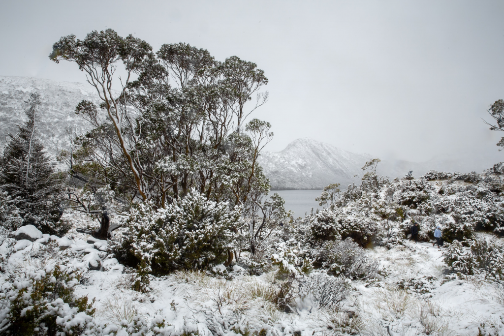Does it snow in australia touristwire