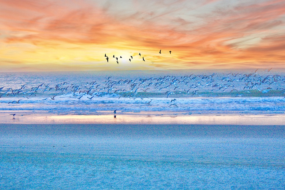 Free Myrtle Beach Sunrise photo and picture