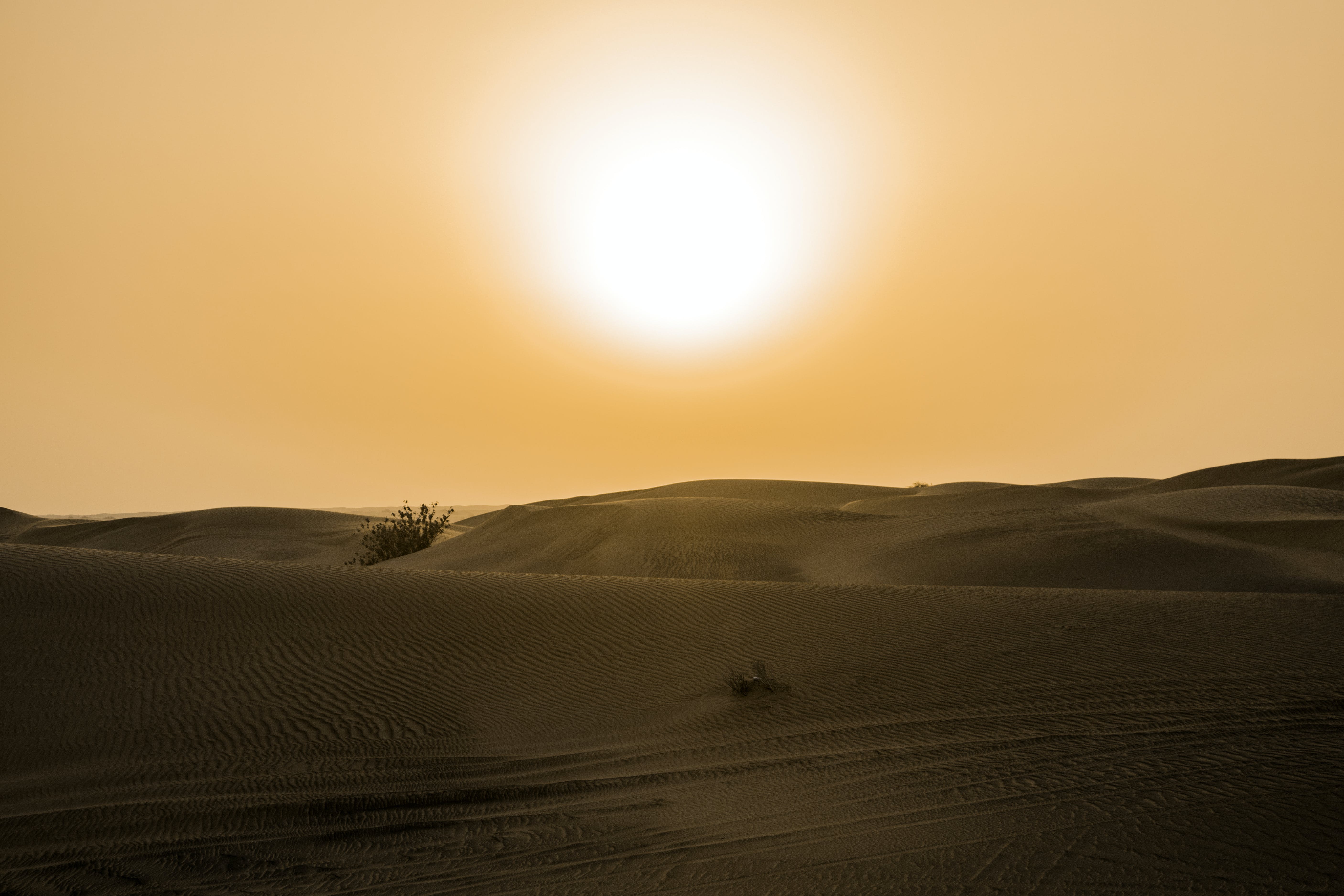 Free Desert Under Yellow Sunset Stock Photo