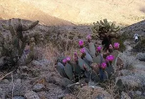 rRMXHlgCEZnxjImFuUpnVAu6VKajZi8pKYz75vZFMpYECkEbAiQC0f fkgCAUsf2Joq1NK1zzJvGqNe67FvnToKhlSmJmNnnMe25 RdQSRT5LphLS5Z7URVaMJWRAEuzuXeFAE6BtPV3vYOoxHPdHbn52F6 68OITGdNmYkaoDYcvUPYJJSo9 Y jg