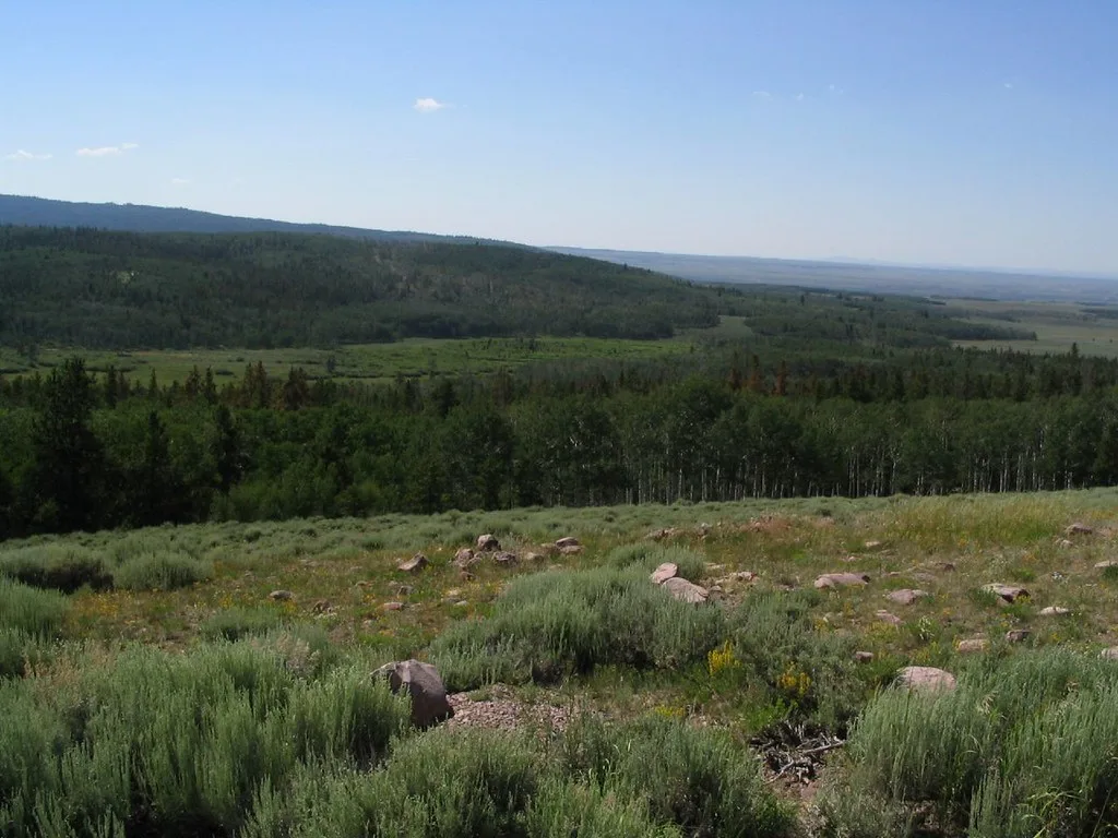 v4E9YN0GwFLGPN6FzDkoDI5g0EJCK7FYjaRD9boAQQ5HQ81qPf8Psa6CPNhOPePwqVX6R 7Rrs3fAMSGwJWjDcv8rabkM4fBE1r7ZpUdV4kI1 W 8ktpxjk655bD iVpA7Twa 9yir9RogrkCuTBMMec4gzffzHUuH fMl5KzINekhWvKni5yREJEg v4E9YN0GwFLGPN6FzDkoDI5g0EJCK7FYjaRD9boAQQ5HQ81qPf8Psa6CPNhOPePwqVX6R 7Rrs3fAMSGwJWjDcv8rabkM4fBE1r7ZpUdV4kI1 W 8ktpxjk655bD iVpA7Twa 9yir9RogrkCuTBMMec4gzffzHUuH fMl5KzINekhWvKni5yREJEg