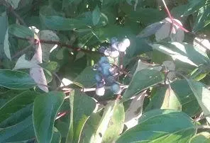 wwJxwZ4YpbGM01To7Xw2SrkSyPxElCE4YIcCLHtJuHLiF1xvs1xrhy5U1006 YkvzCptpd0g8YepcFwSdu2HGXD6 W635ptbwxmbzH2EwhUc6Wv 17evhUMnZYa9lLeafw2i3Vsfkzli3knAJm5614DHN8zeGJdEiZOmPlEQHntnZ937pS0tDGl 2g