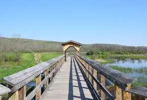 ygSWSvzt9AJIRqvlevPqLgYuwyjBYxdkf5Xsv6rIngMzFA