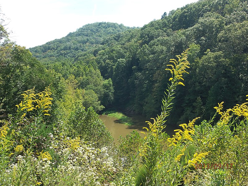 File:Daniel Boone National Forest Photography Collection by Jason Everett Morris. - panoramio (3).jpg