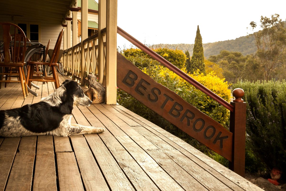 Image sourced from the Bestbrook Farmstay website at: https://www.bestbrook.com.au/gallery-2/