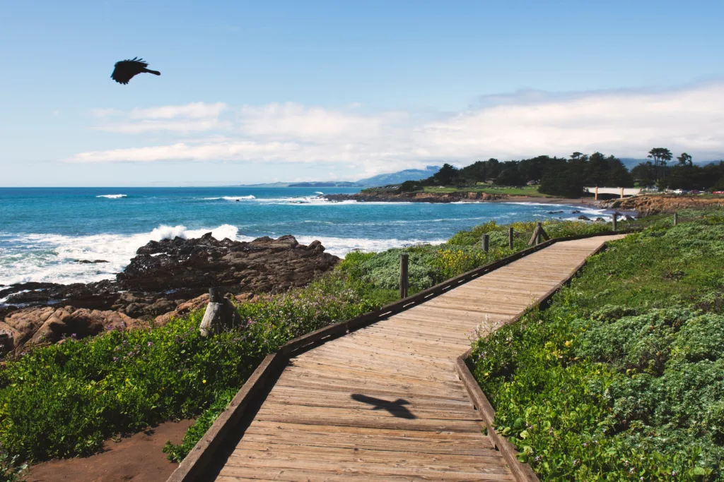 Tim Mossholder | Unsplash