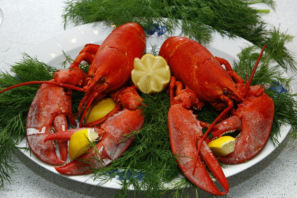 Free Lobster Cooked photo and picture