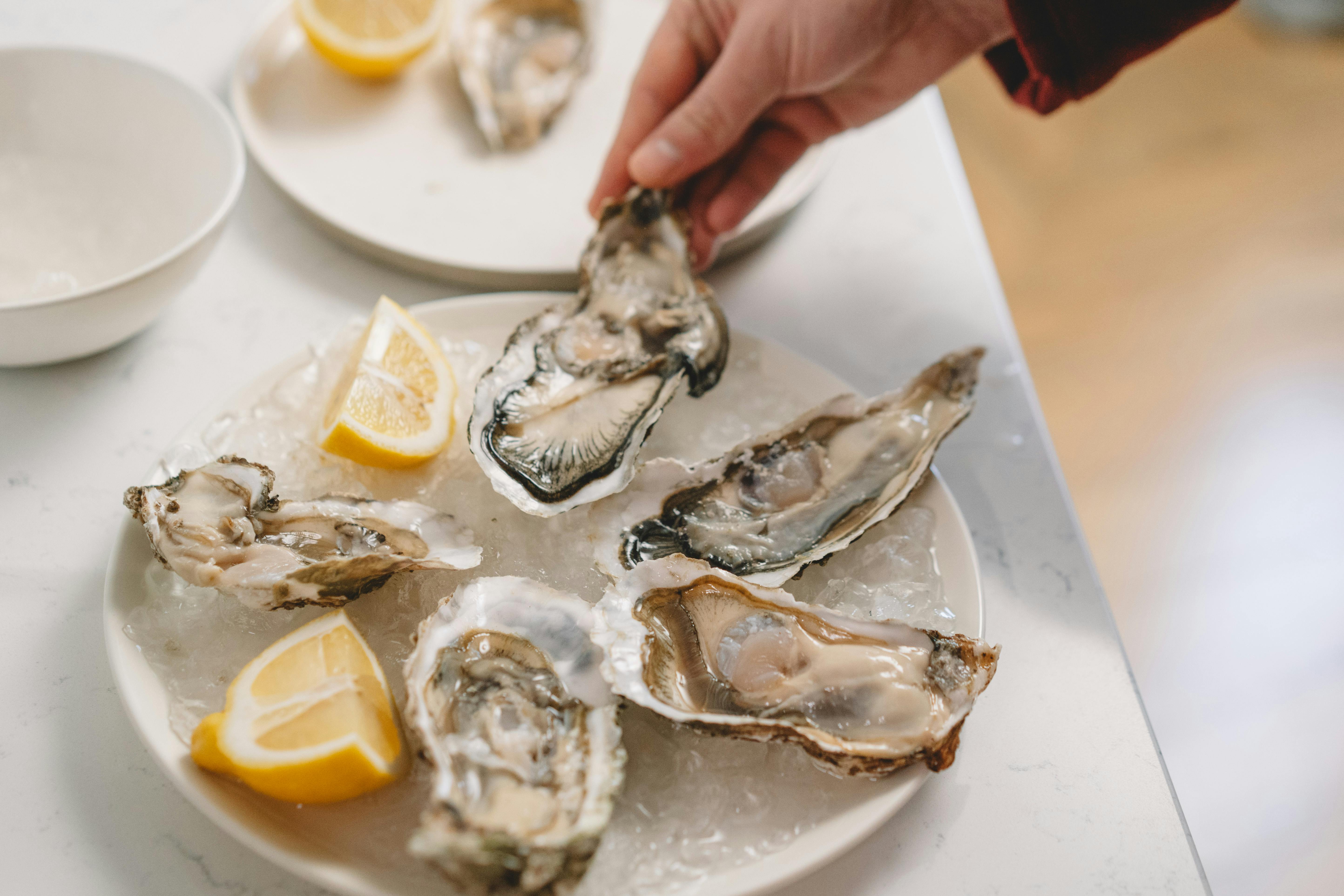 Free Oysters and Lemon on the Plate Stock Photo