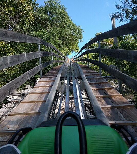 File:Dragon's Tail Alpine Coaster (31171991784).jpg